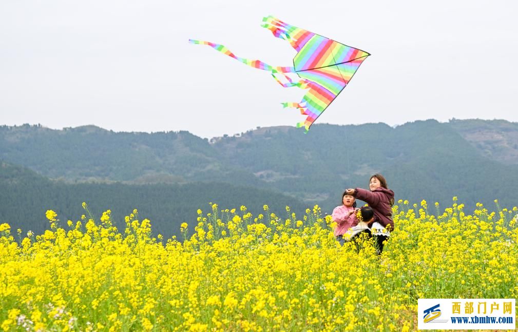 重庆丰都:油菜花开长江岸(图2) 重庆丰都:油菜花开长江岸(图2)