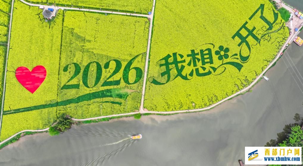 重庆潼南：油菜花开迎客来(图3)